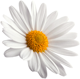 Apvienotais saraksts logo